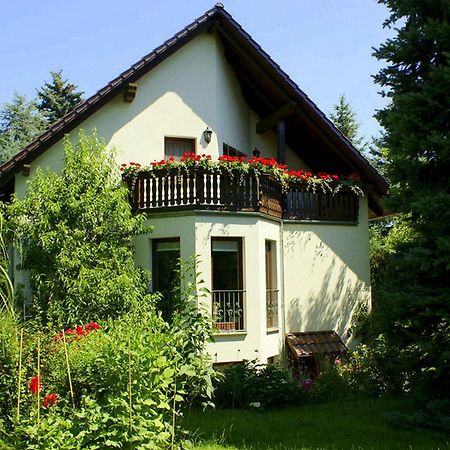 Ferienwohnung Ginkgo 드레스덴 객실 사진