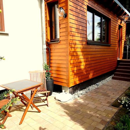 Ferienwohnung Ginkgo 드레스덴 외부 사진