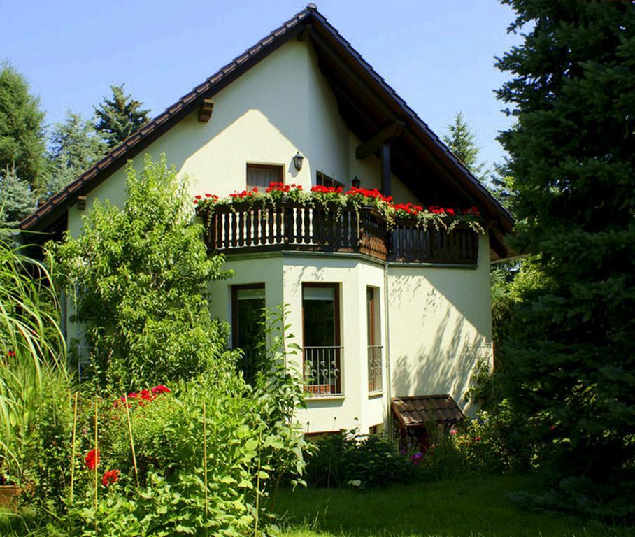 Ferienwohnung Ginkgo 드레스덴 객실 사진